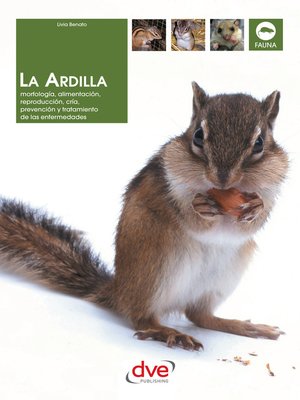 cover image of La ardilla